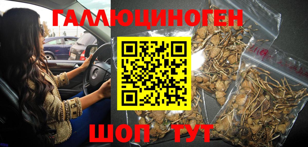 Галлюциногенные грибы Magic Shrooms Егорьевск
