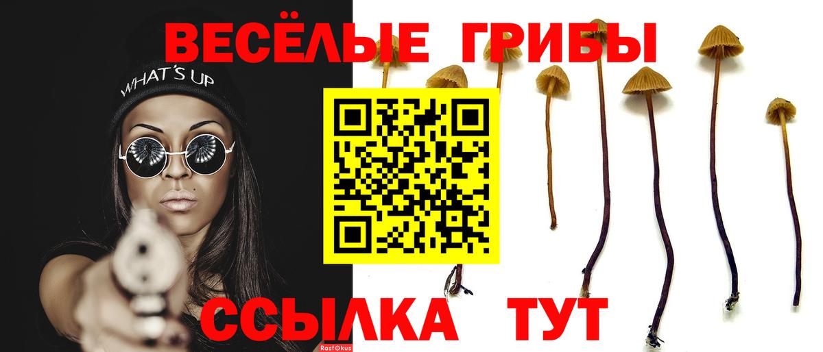 Егорьевск  Галлюциногенные грибы мухоморы  Вход с VPN  Псилоцибиновые грибы мицелий 